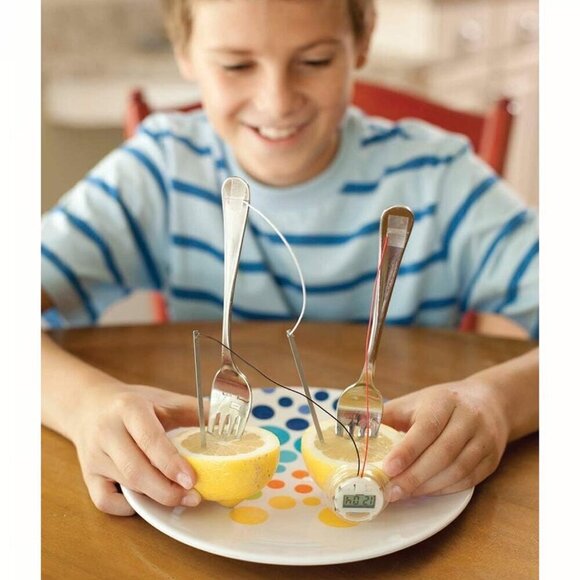 4M Kidzlabs Lemon Powered Clock, Chemical Electrical Science Lab Experiment - Picture 4 of 6